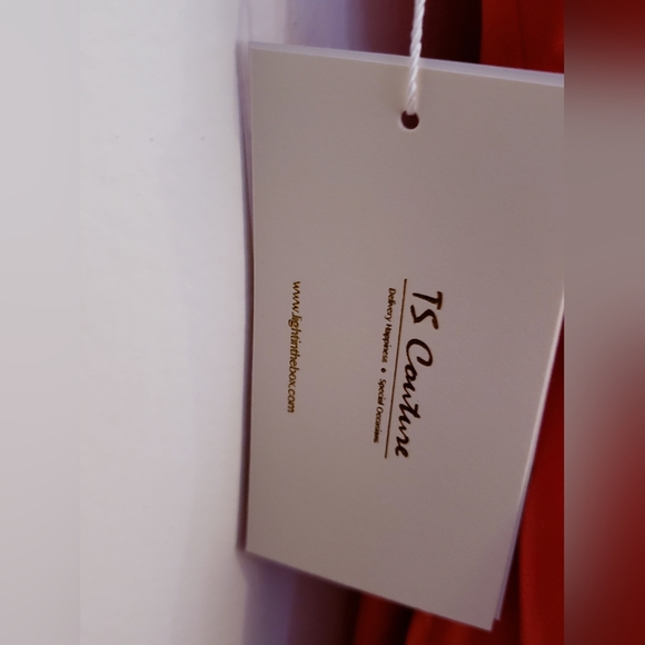 TS Couture FORMAL GOWN - Picture 5 of 7